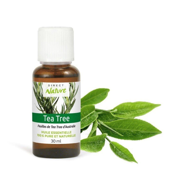 Huile essentielle de théier (tea tree), 15 ml – Lotus Aroma : Huiles  essentielles