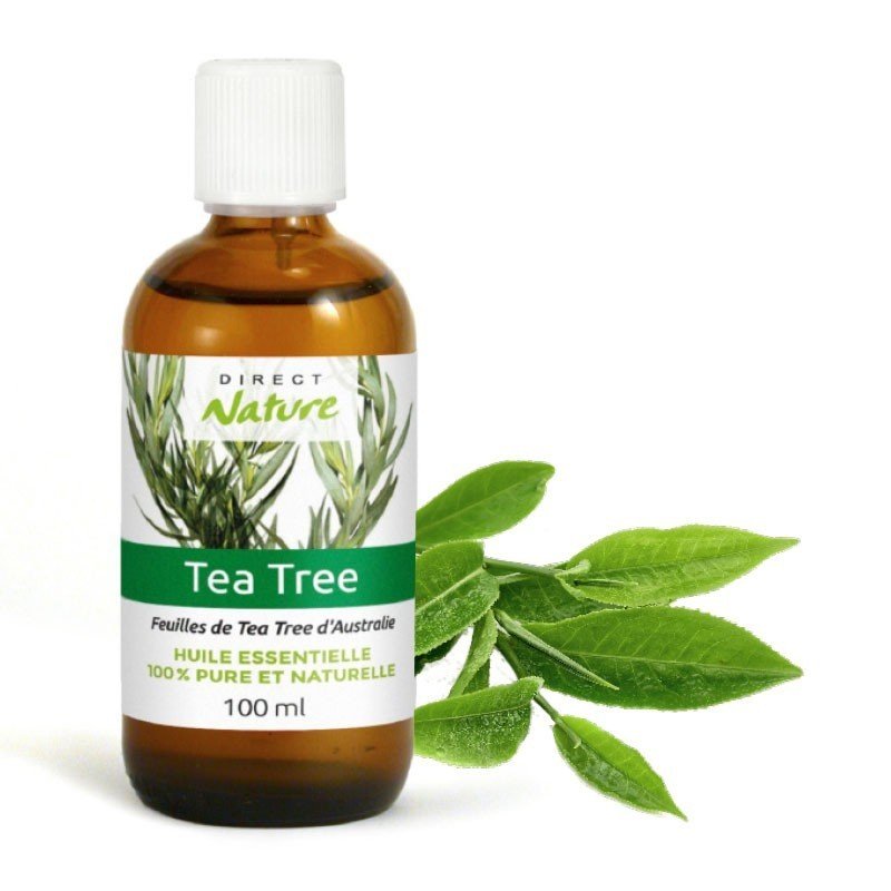 Zoom sur l'huile essentielle de Tea Tree : l'indispensable de la