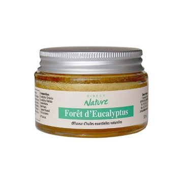 diffuseur-huiles-essentielles-eponge-foret-d-eucalyptus