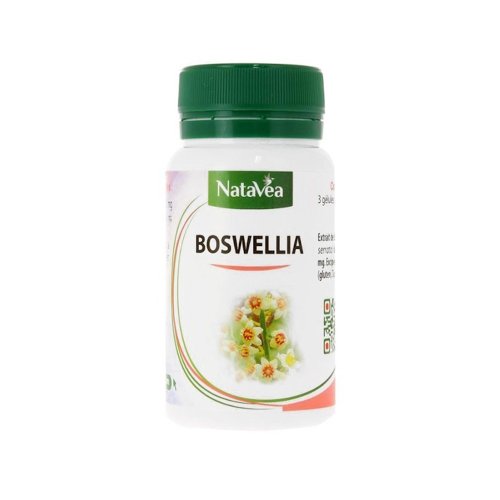 boswellia-complement-alimentaire-natavea