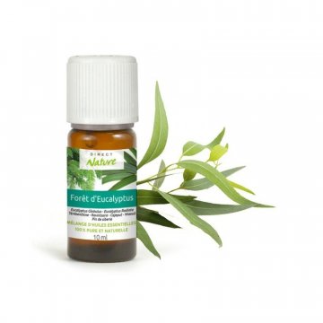 huile-essentielle-foret-eucalyptus-10ml