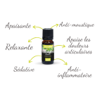 bienfaits-huile-essentielle-euxalyptus-citronné
