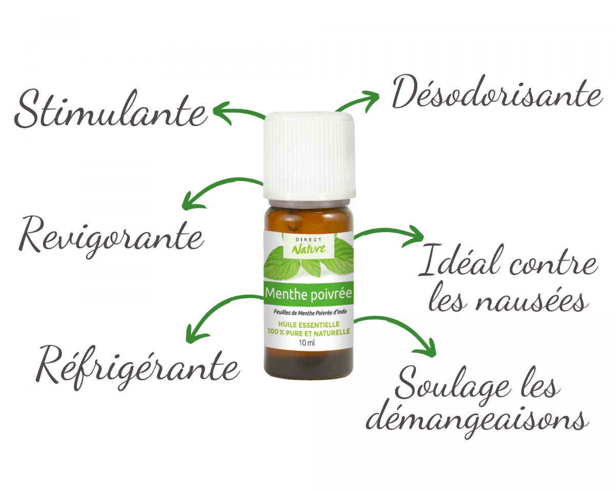 Les multiples bienfaits de l'huile essentielle de menthe poivrée pour votre  bien-être - TheFarmersWifee