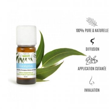 huile-essentielle-100%-pure-naturelle-eucalyptus-globulus