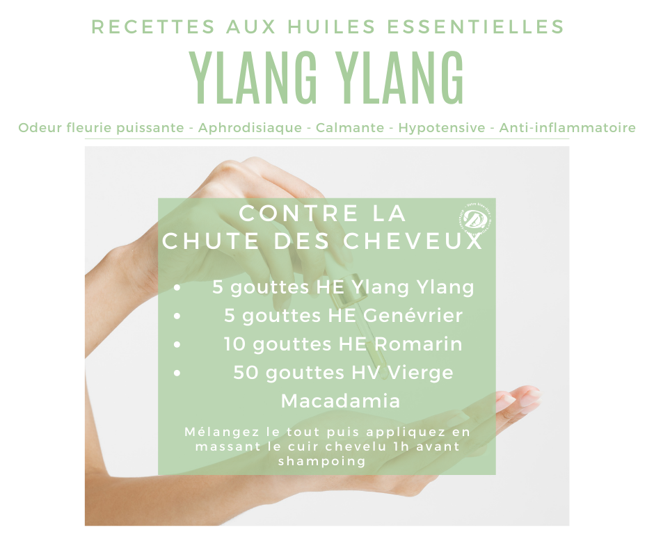 Recette huile essentielle Ylang ylang contre la chute des cheveux
